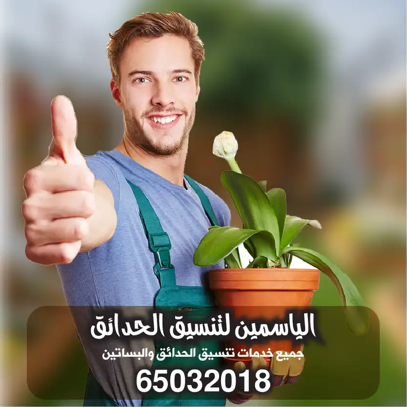 زاعة نباتات زينة تنسيق حدائق الكويت