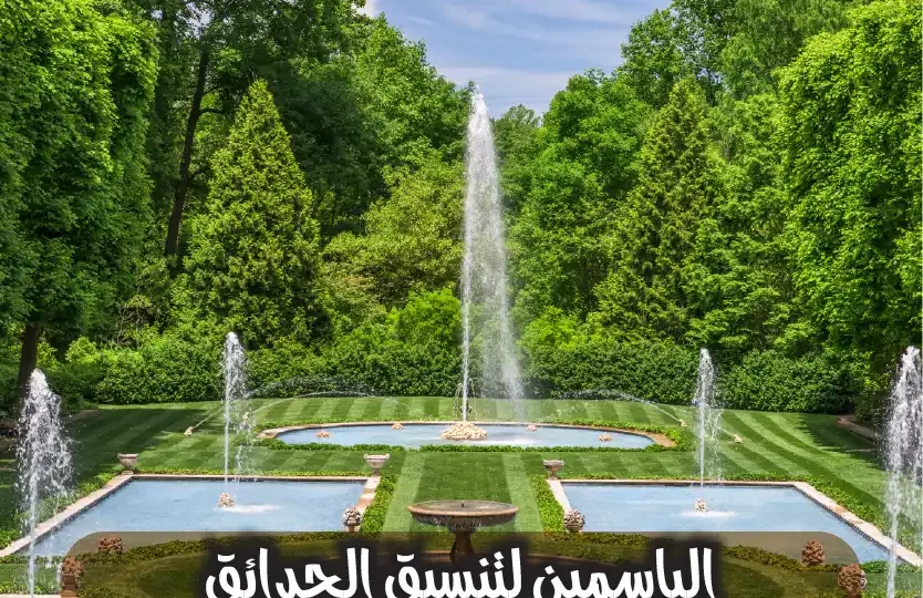 شركة تنسيق حدائق حولي